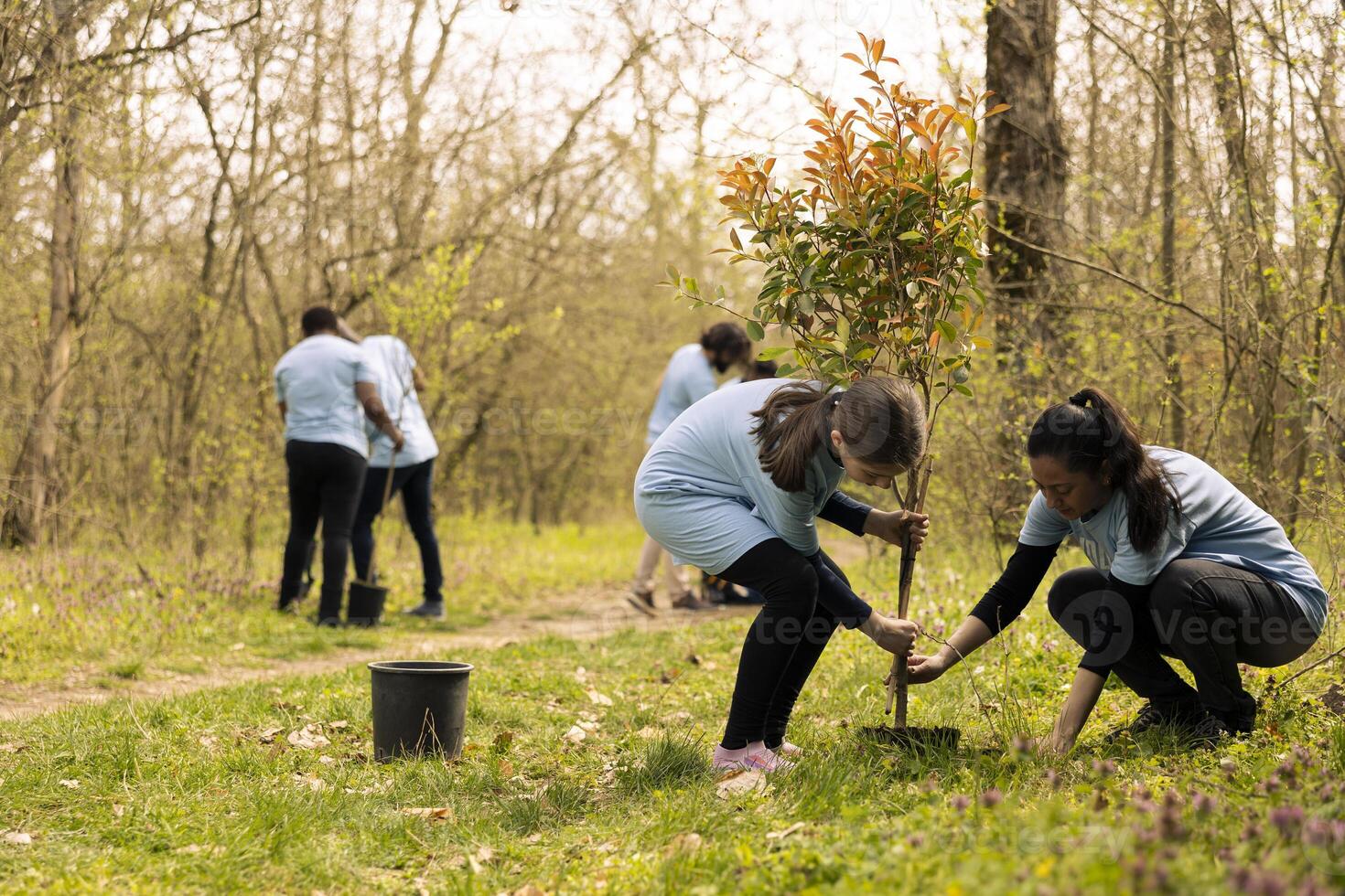 Child and her mother volunteering to plant a tree in the forest, preserving natural environment and growing vegetation. Team of volunteers offering service to fight for reforestation. photo