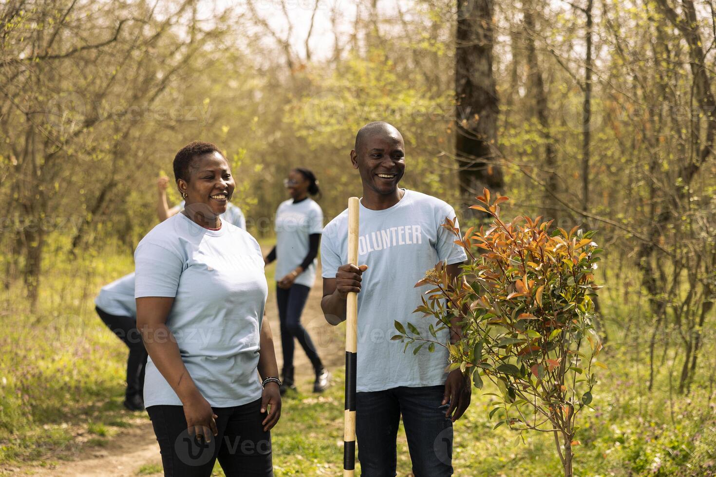 Portrait of african american couple preserve natural ecosystem by planting trees, cultivating consciousness through community service. Volunteers digging holes with a shovel, save the planet. photo