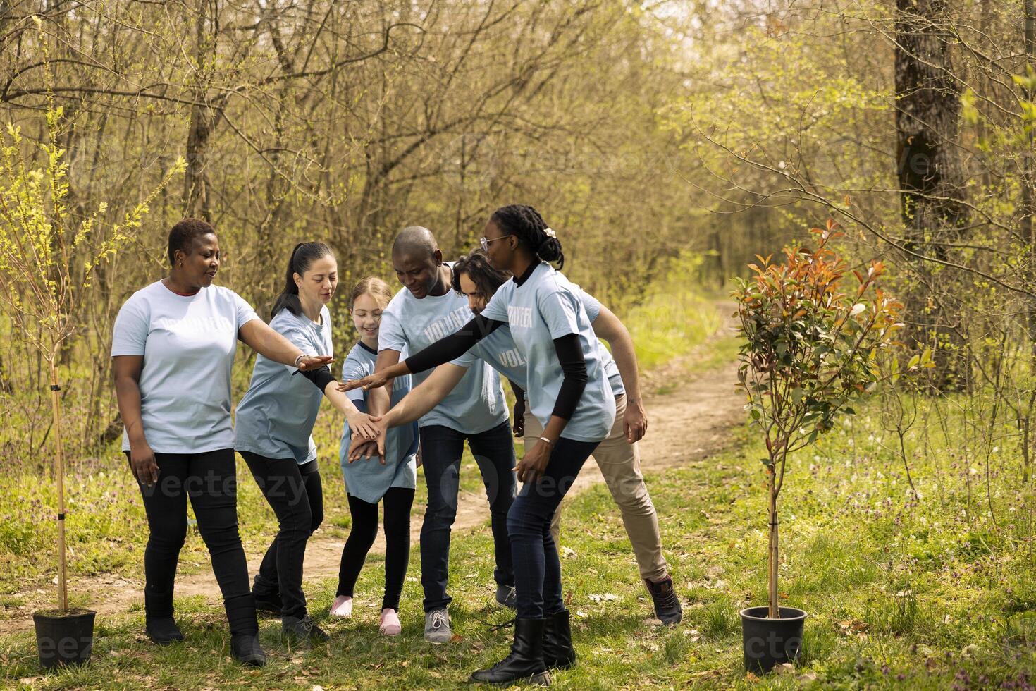 Cheerful enthusiastic team of activists unite to plant trees in the woods, taking action to protect natural environment. People celebrating their voluntary work by connecting hands together. photo