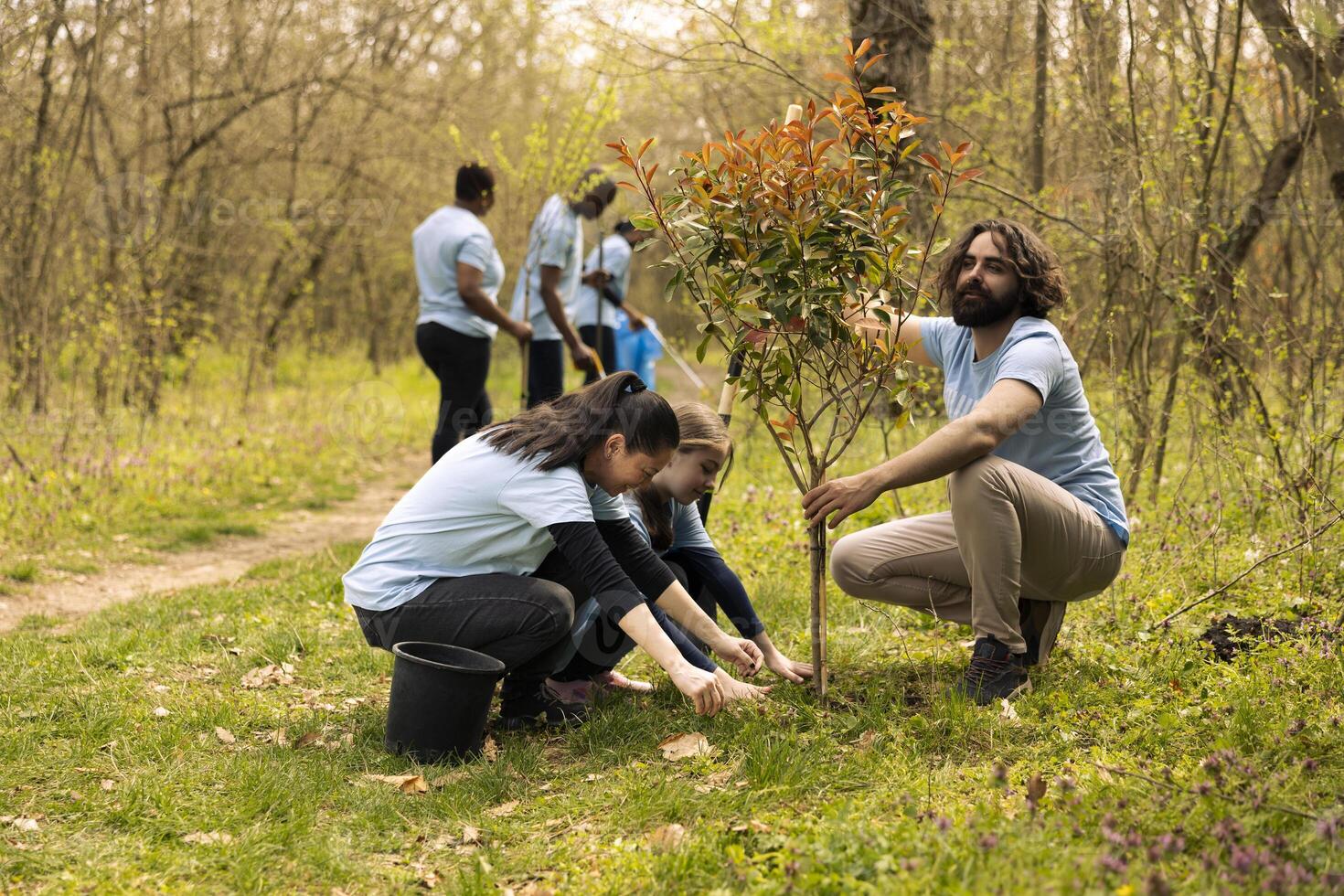 Volunteers team doing community service action to plant trees, covering holes in the ground with seedlings and greenery. Contributing to reforestation mission, cultivating consciousness. photo