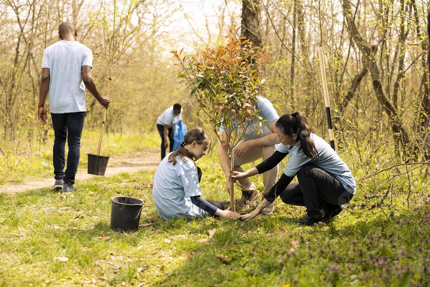 Team of volunteers digging holes and installing new trees, planting greenery for reforestation concept. Activists doing voluntary work and collaborating on conservation project. photo