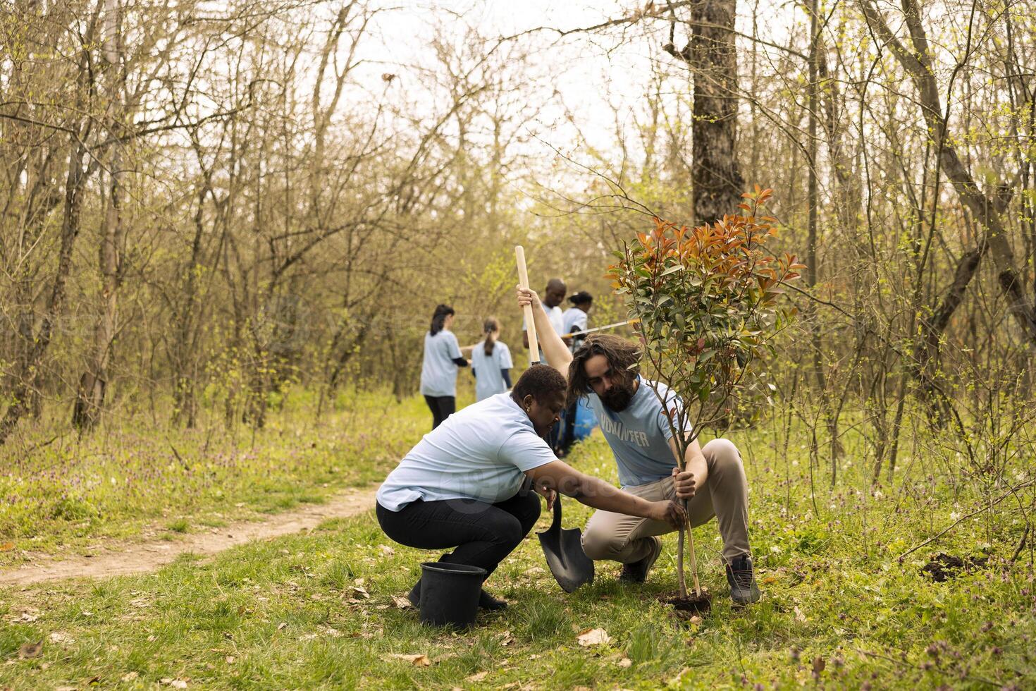 Man and woman activists covering hole by planting small tree in the woods, contributing to the reforestation and conservation project. People doing voluntary work to save the planet. photo