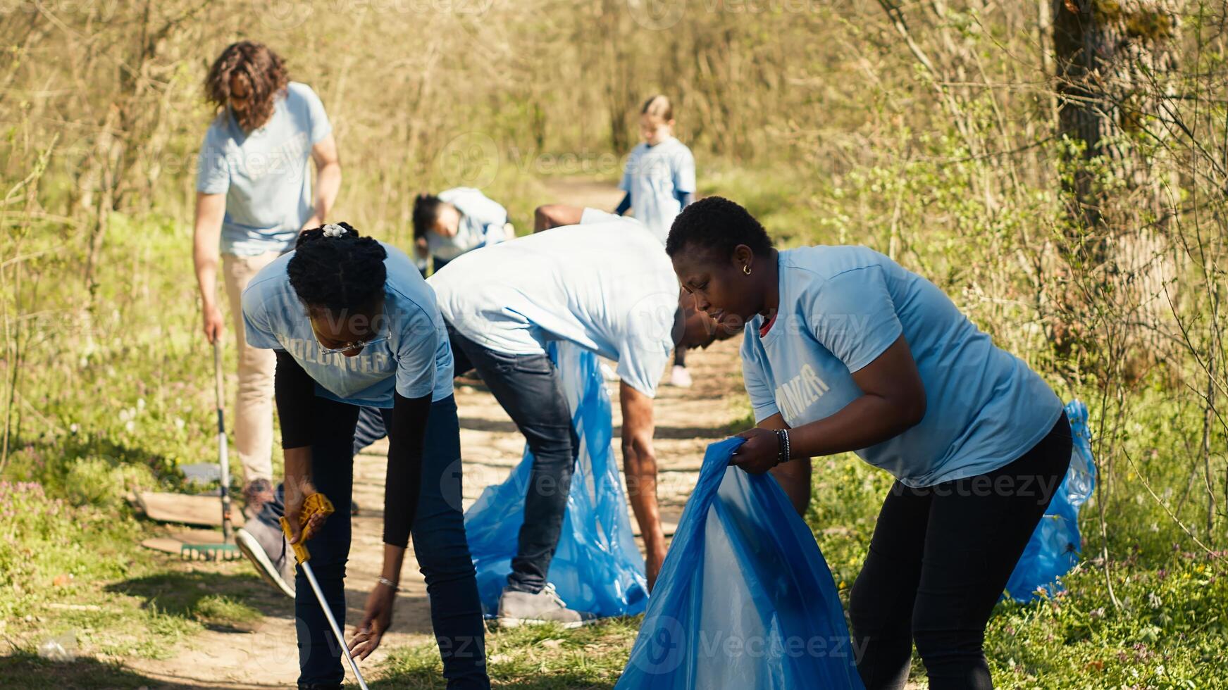Environmental activists collecting rubbish and plastic waste in garbage bag, using littler cleanup tools to pick up trash from the forest. Women doing voluntary work to protect ecosystem. Camera A. photo
