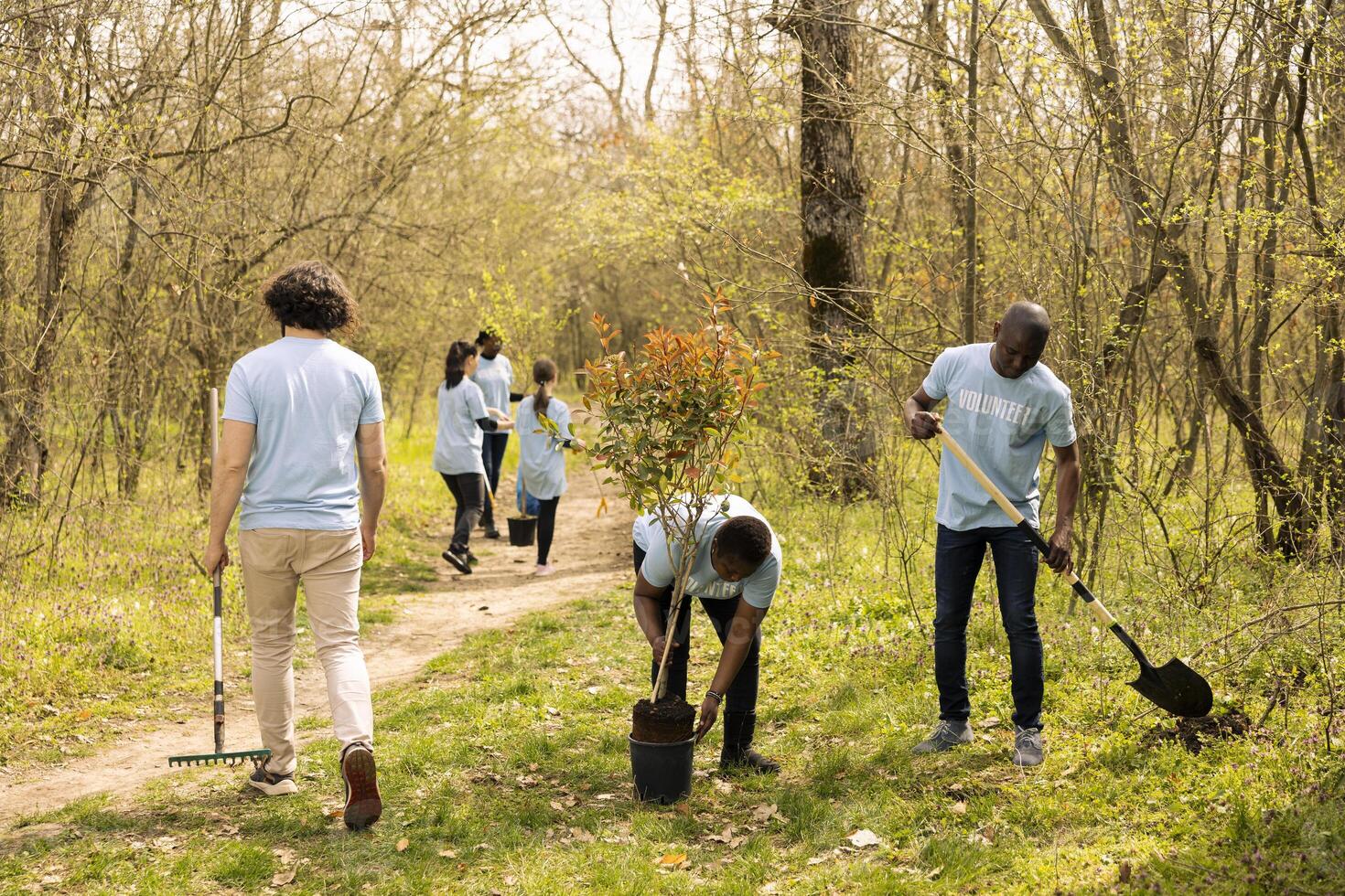 Activists team doing voluntary work to grow trees in the woods, covering holes in the ground with greenery to increase vegetation. Contributing to reforestation mission, conservation project. photo