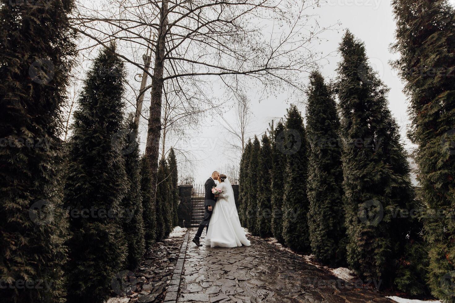 A couple is kissing in front of a row of evergreen trees. Scene is romantic and intimate photo