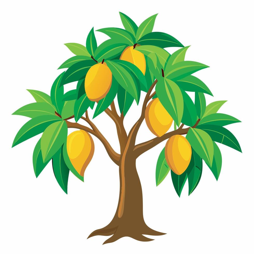 Mango tree on white background vector