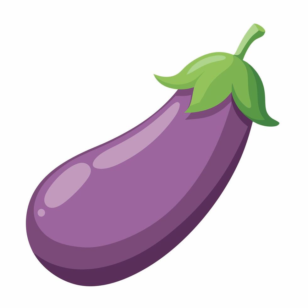 Realistic eggplant on white background vector