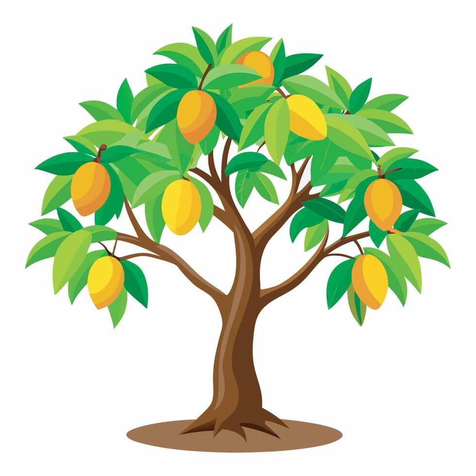 Mango tree on white background vector