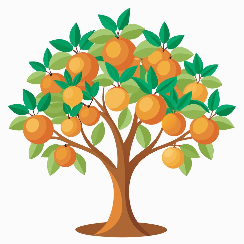 Orange tree on white background vector