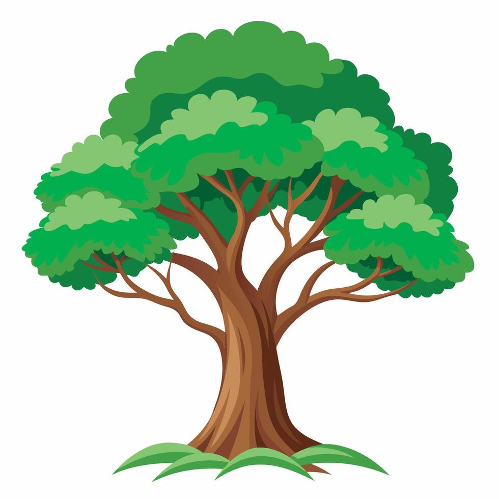 Tree on white background vector