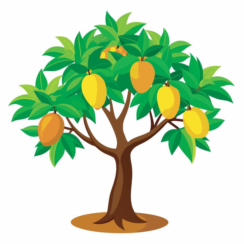 Mango tree on white background vector