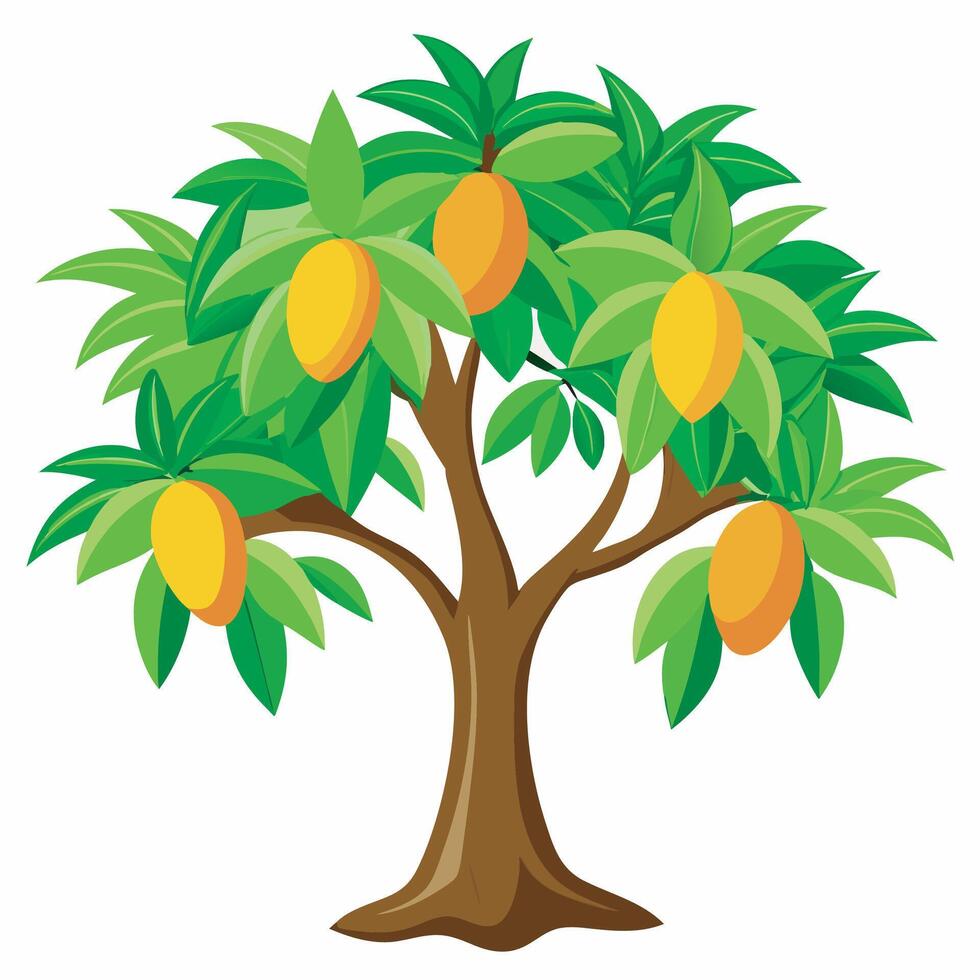 Mango tree on white background vector