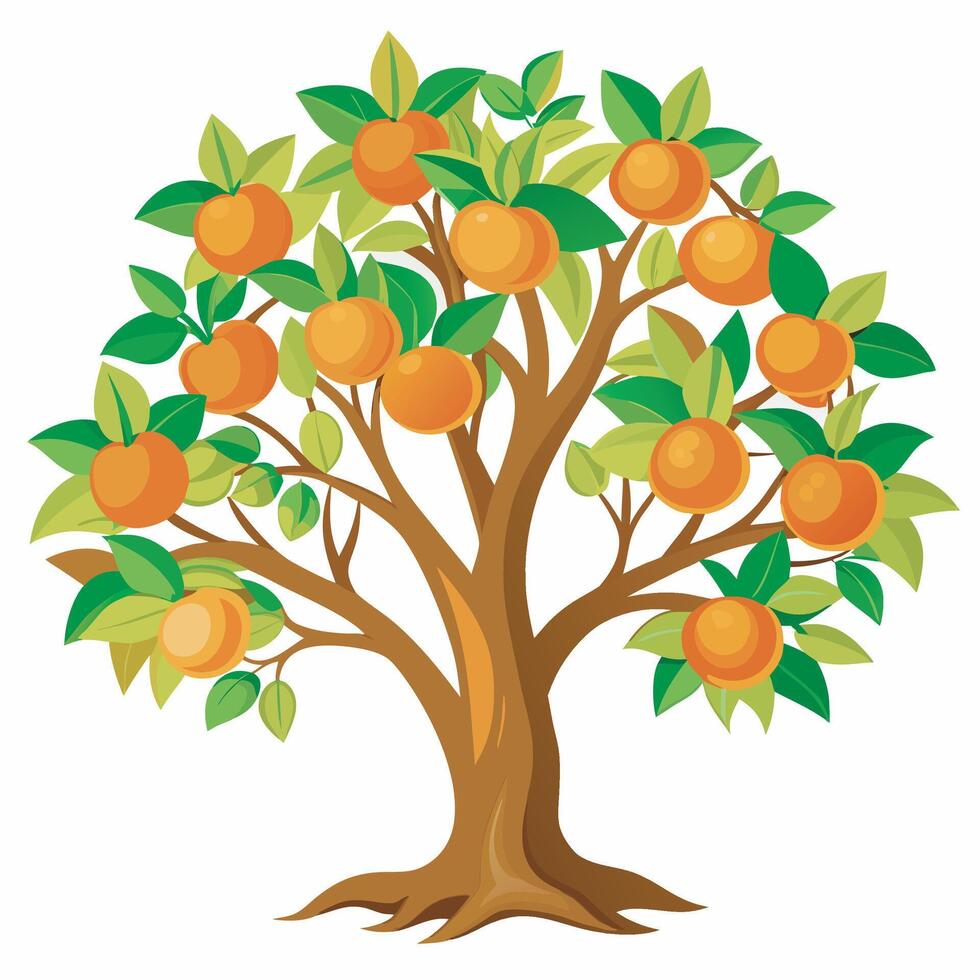 Orange tree on white background vector