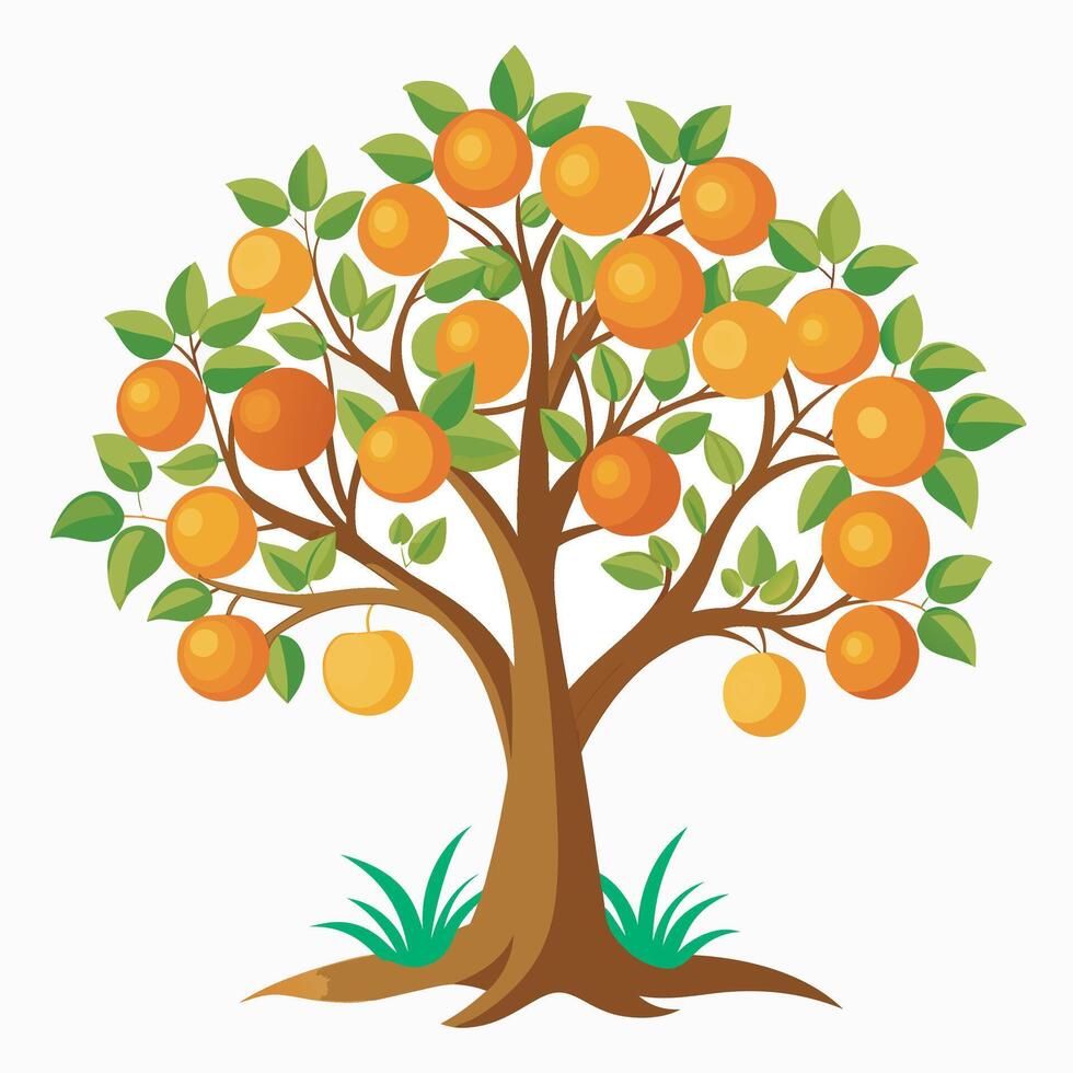 Orange tree on white background vector