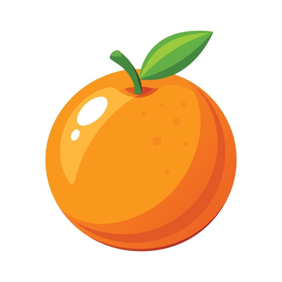 Orange Fruit On A White Background Illustration vector