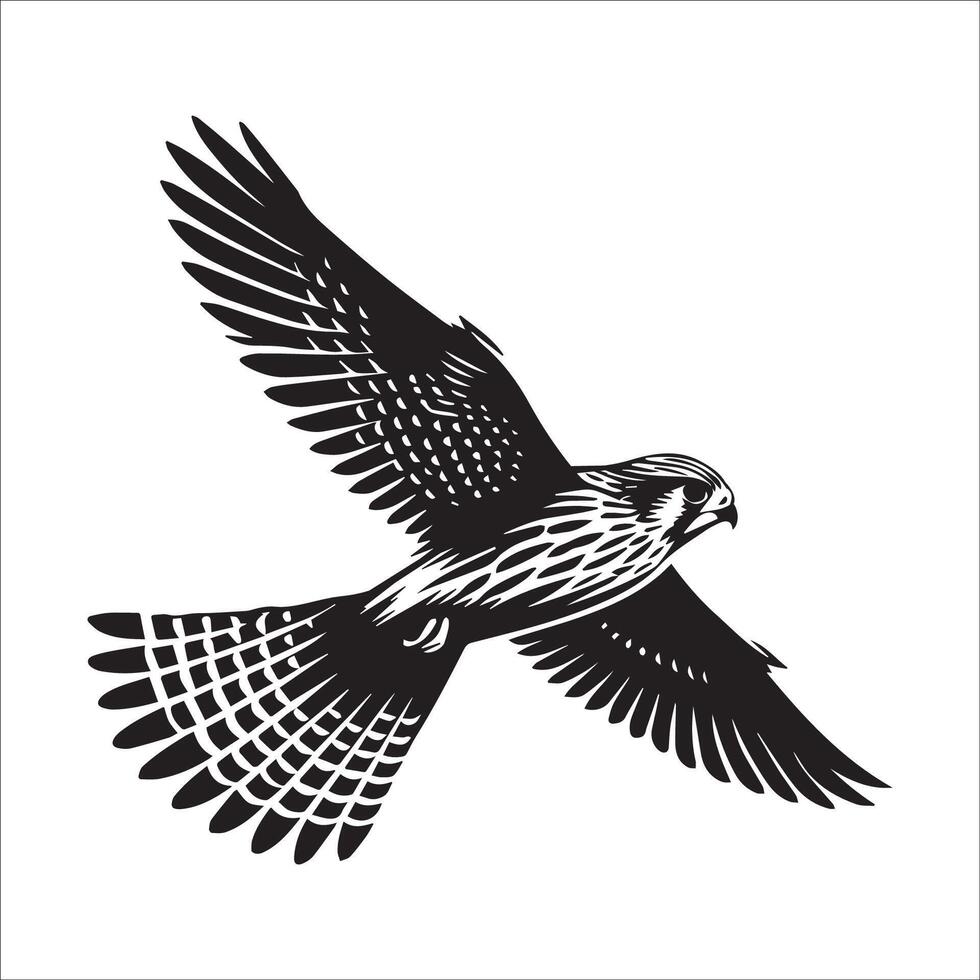 Old World kestrel Outline - European kestrel silhouette - A Common Kestrel gliding gracefully illustration in black and white vector