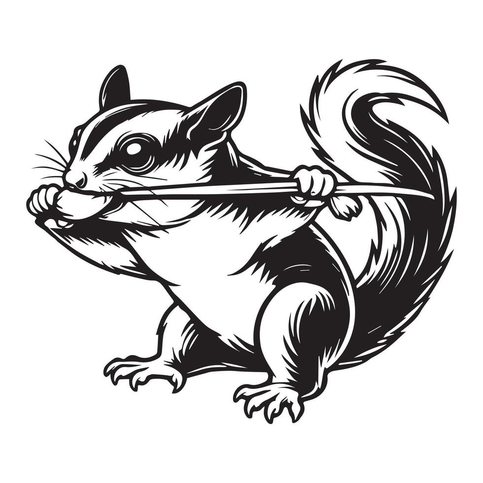 Sugar Glider Silhouette - Petaurus Breviceps Clipart - Sugar Glider Tugging illustration vector