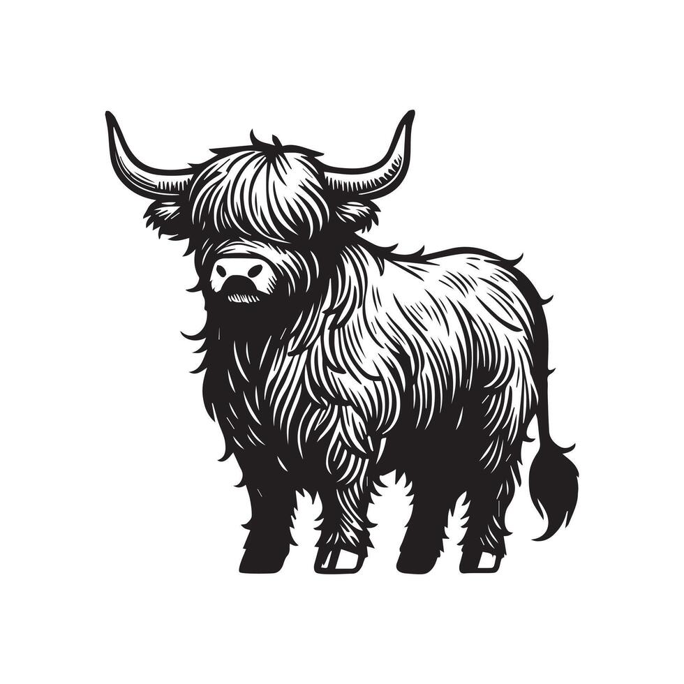 Highland cattle Silhouette - Highland Cow Clipart - A standing Highland Cow Illustration in black and white vector