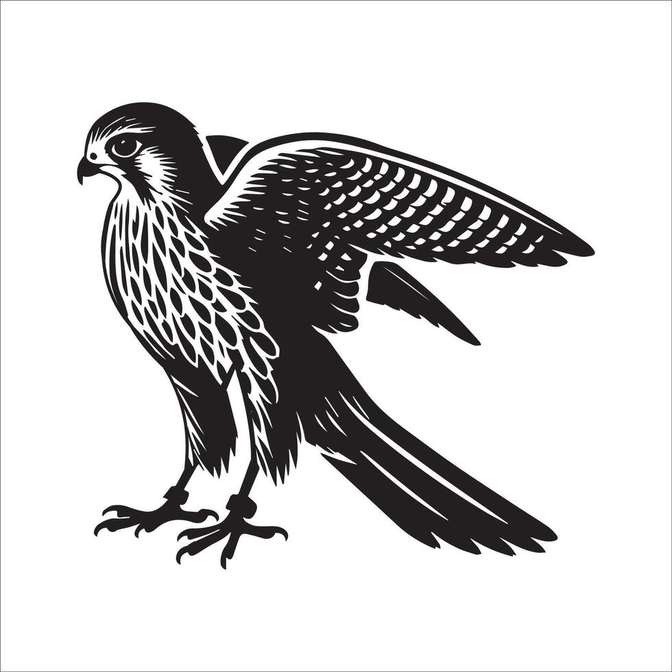 Old World kestrel Outline - European kestrel silhouette - A Common Kestrel in a majestic pose illustration in black and white vector