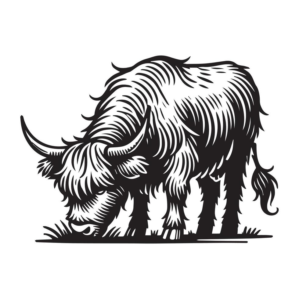 Highland cattle Silhouette - Highland Cow Clipart - A highland cow Grazing Illustration in black and white vector