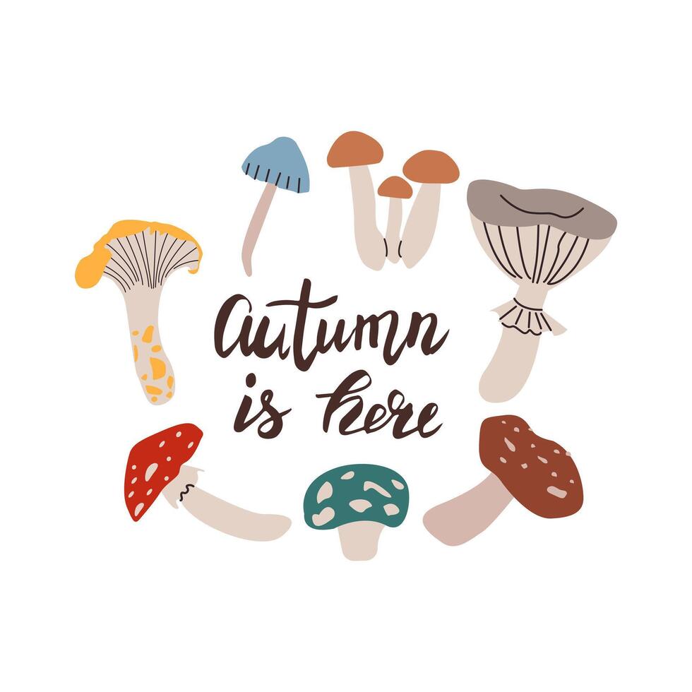 Autumn hand drawn lettering autumn is here . Fall season handwritten slogan. Autumn phrase with cute cozy design elements isolate on white . vector