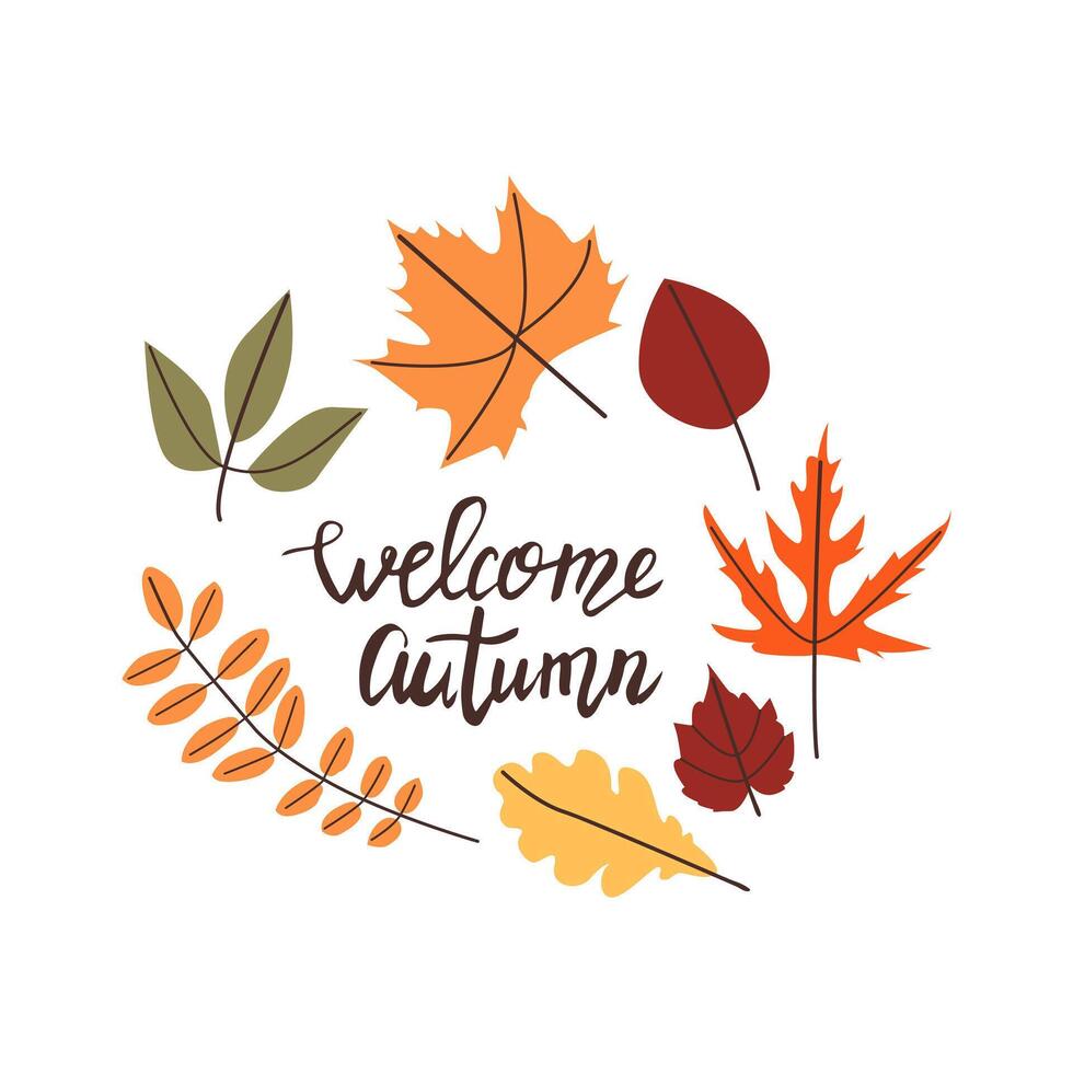 Autumn hand drawn lettering welcome autumn. Fall season handwritten slogan. Autumn phrase with cute cozy design elements isolate on white . vector