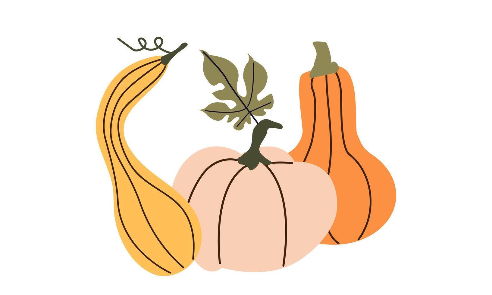 Pumpkins. Autumn composition with pumpkins. Fresh vegetables. Harvesting. Invitation to the Thanksgiving of the autumn season. flat cartoon illustration isolated on the white background. vector
