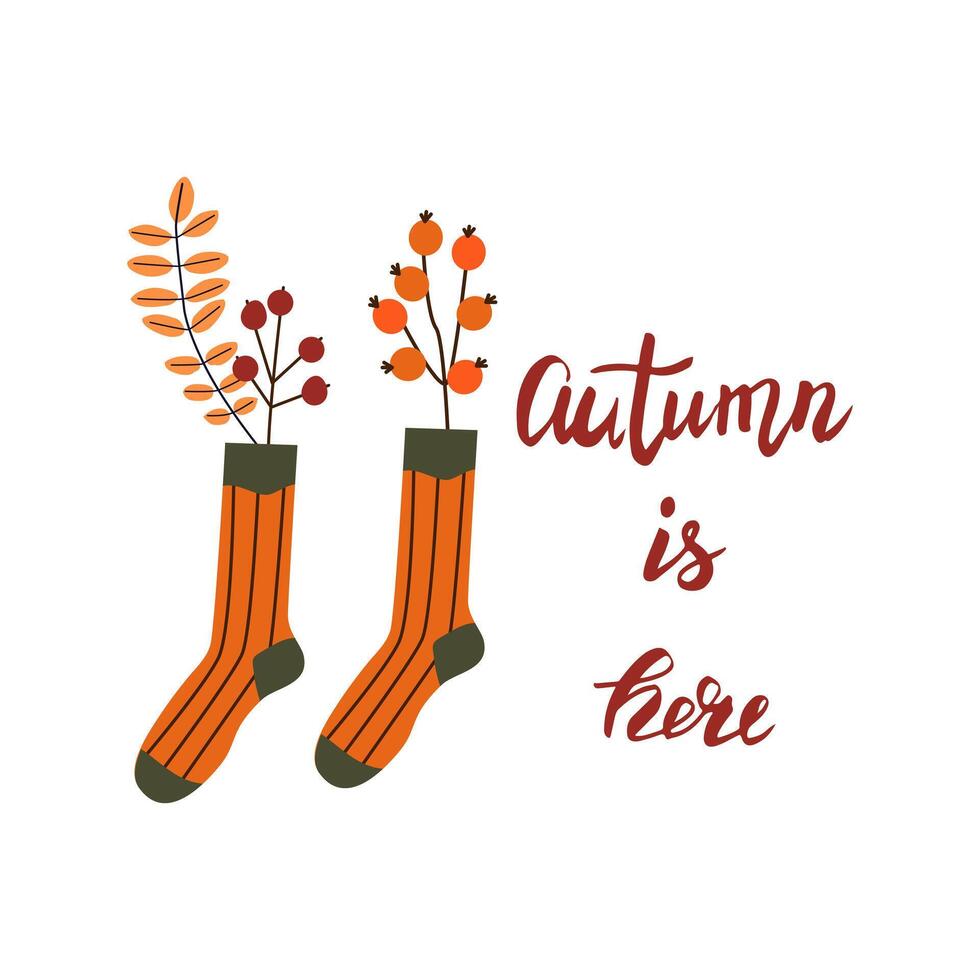 Autumn hand drawn lettering autumn is here . Fall season handwritten slogan. Autumn phrase with cute cozy design elements isolate on white . vector