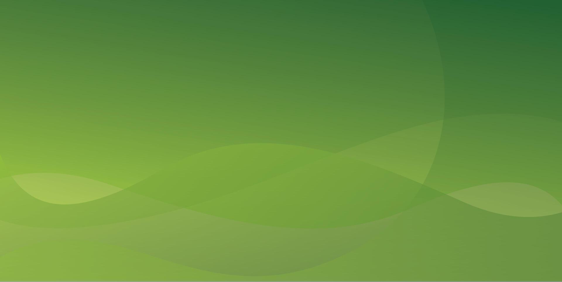 Abstract wave green background vector