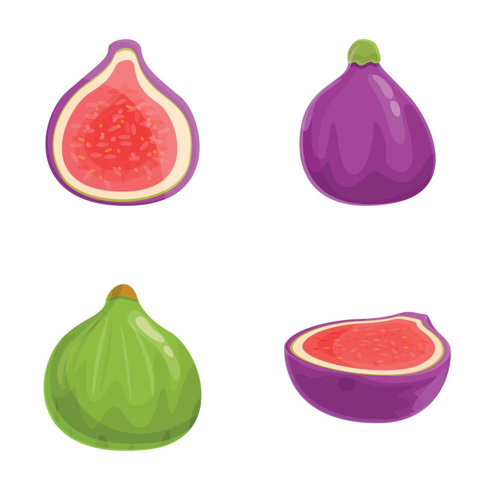 Juicy fig icons set cartoon vector. Delicious summer tropical fruit vector