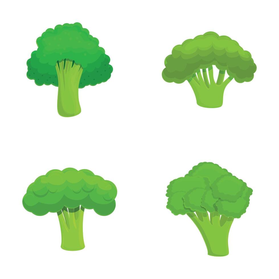 Broccoli cabbage icons set cartoon vector. Fresh green broccoli on stalk vector