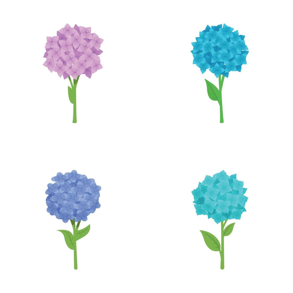 Various hydrangea icons set cartoon vector. Colorful hydrangea flower vector
