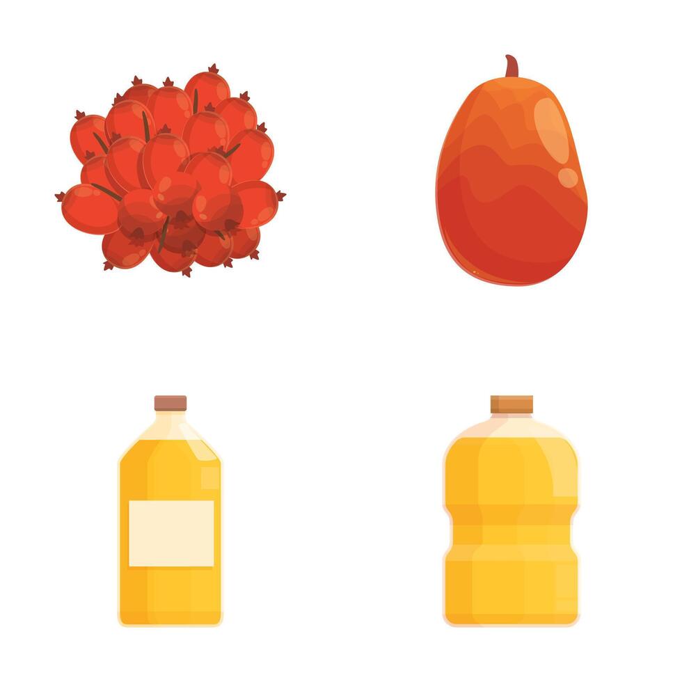 Tropical fruit and juice set illustration vector