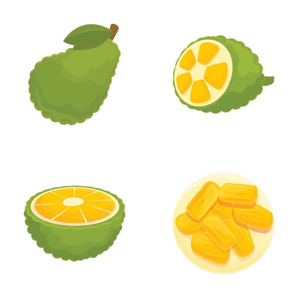 Colorful collection of bergamot illustrations in various forms, whole, sliced, and peeled vector