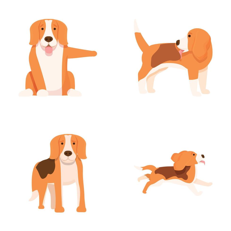 Cartoon beagle dog poses set vector