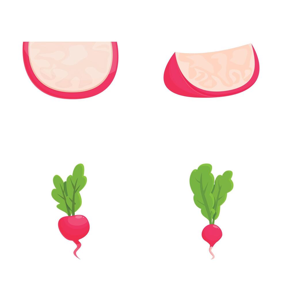 Vector set of ham slices and fresh radishes