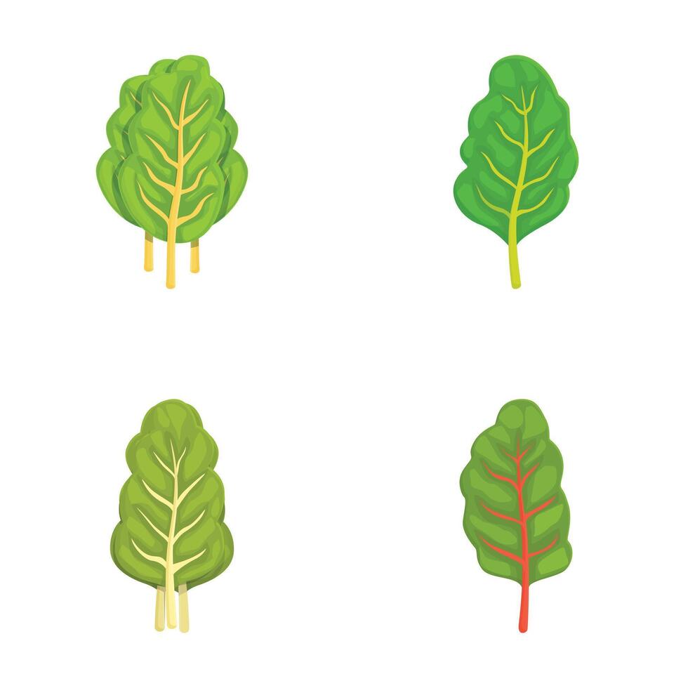 Set of cartoon green leafy vegetables vector