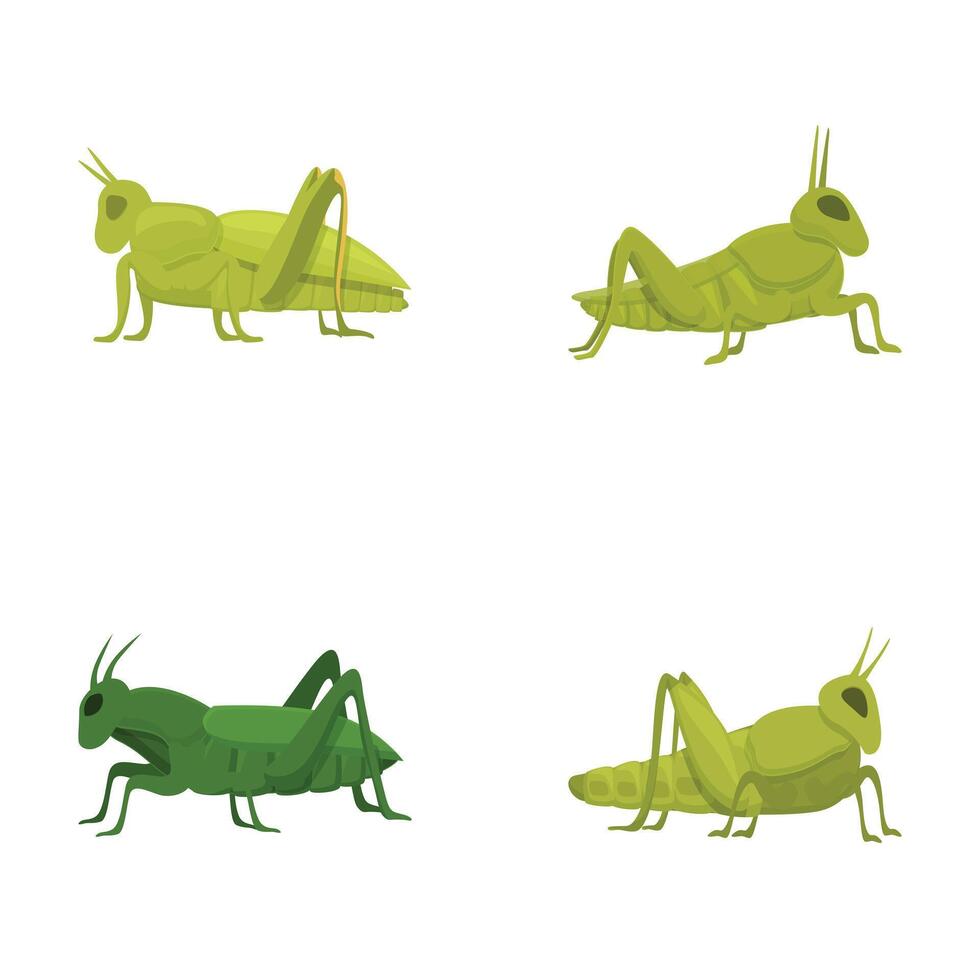 Set of cartoon grasshoppers in various poses vector