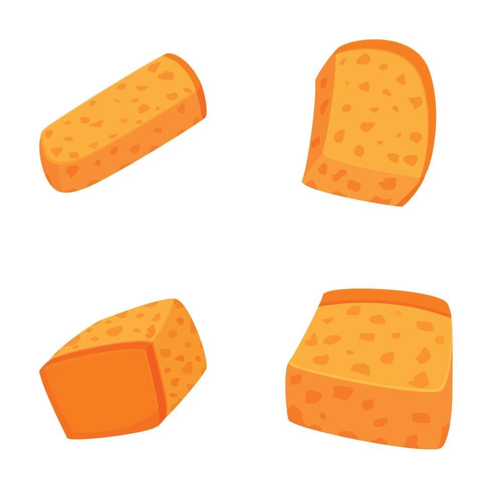 Various types of cheddar cheese isolated set vector