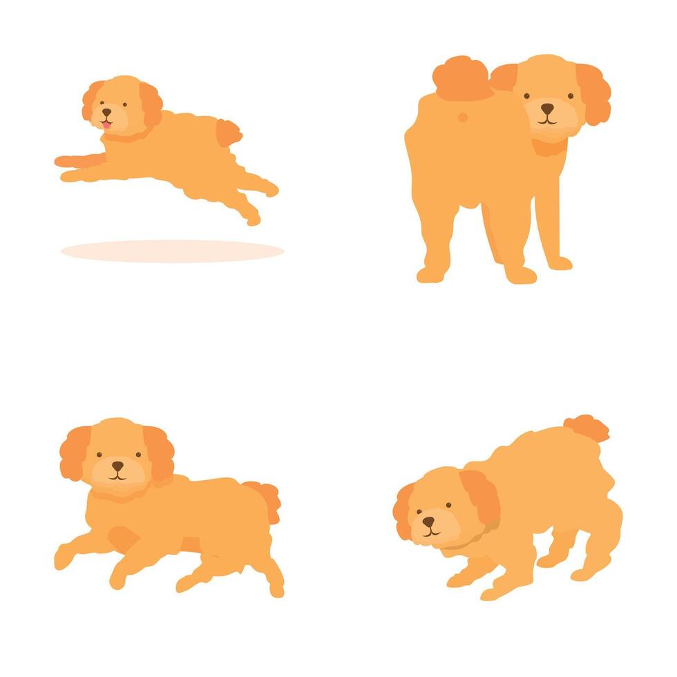 Collection of cute cartoon poodle illustrations in various poses on a white background vector