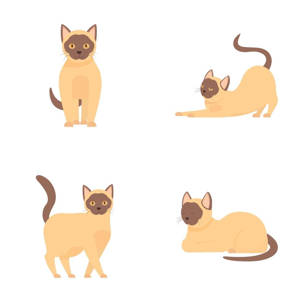 Various poses of cartoon siamese cats illustration vector