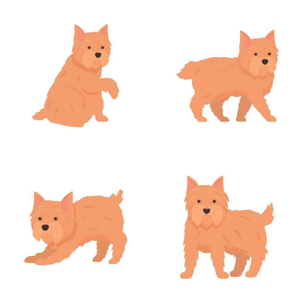 Set of cute cartoon scottish terriers in various poses vector