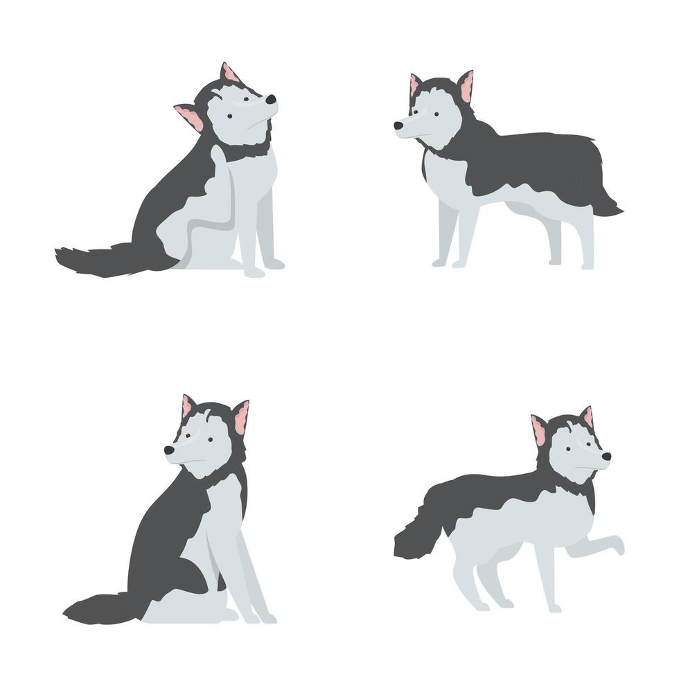 Cartoon siberian husky set in various poses vector