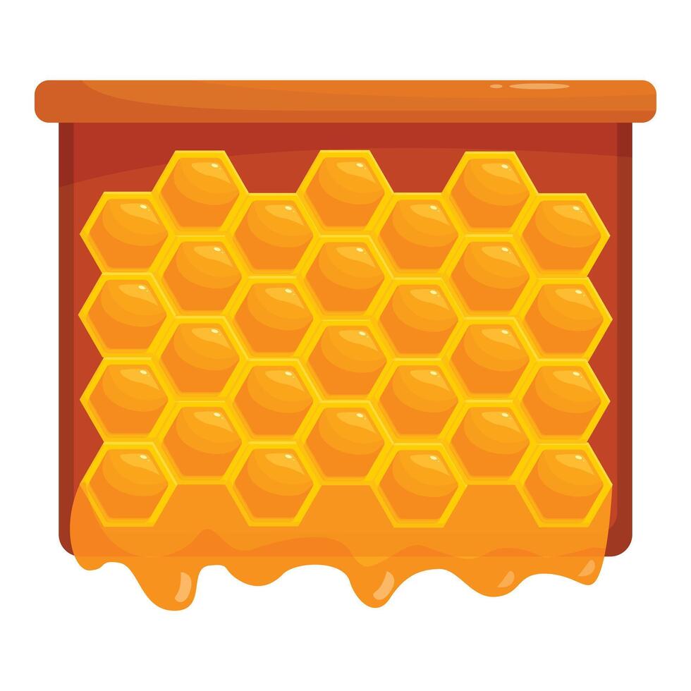 Delicious honeycomb full of honey is dripping from wooden frame vector
