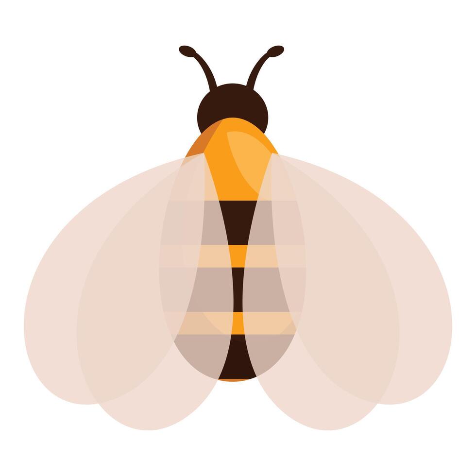 Honey bee spreading its wings on white background vector