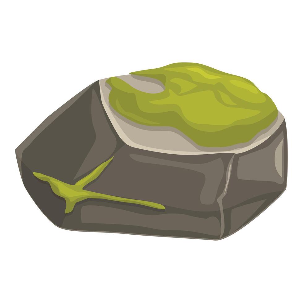 Gray stone with green moss growing on it isolated on white background vector