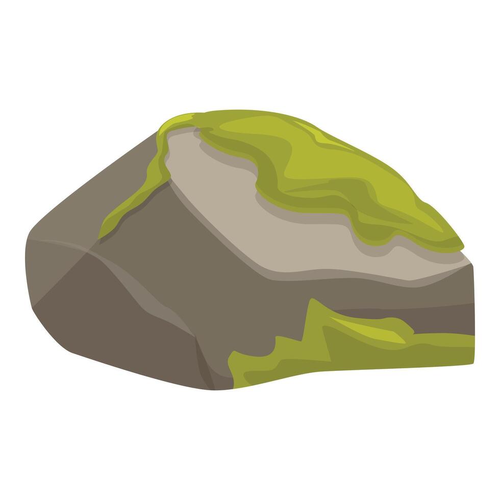 Grey stone with green moss growing on its surface vector