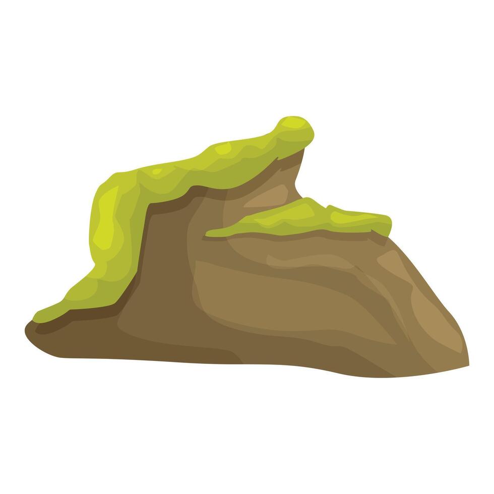 Moss growing on the side of a mountain vector
