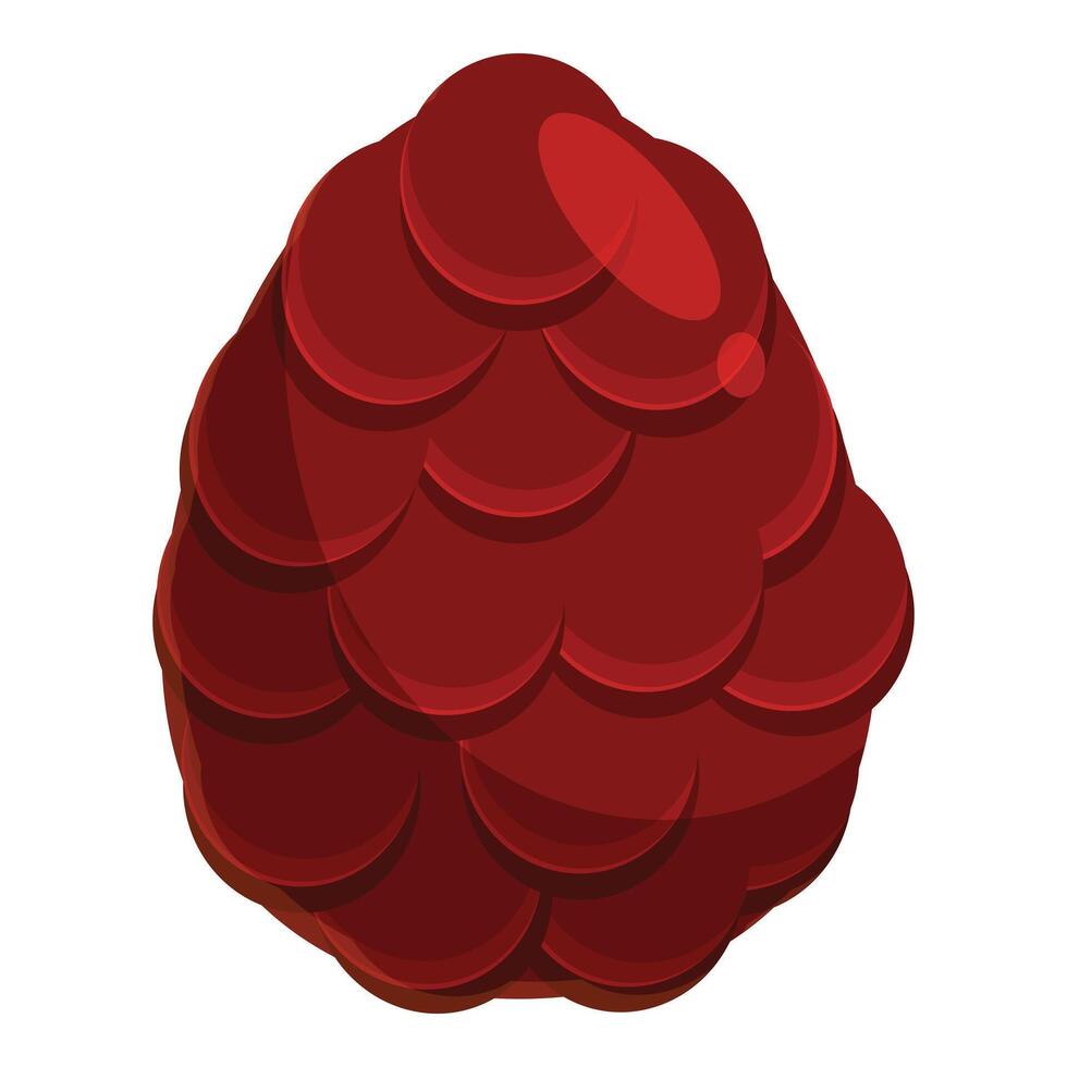 Ripe raspberry showing delicious texture vector
