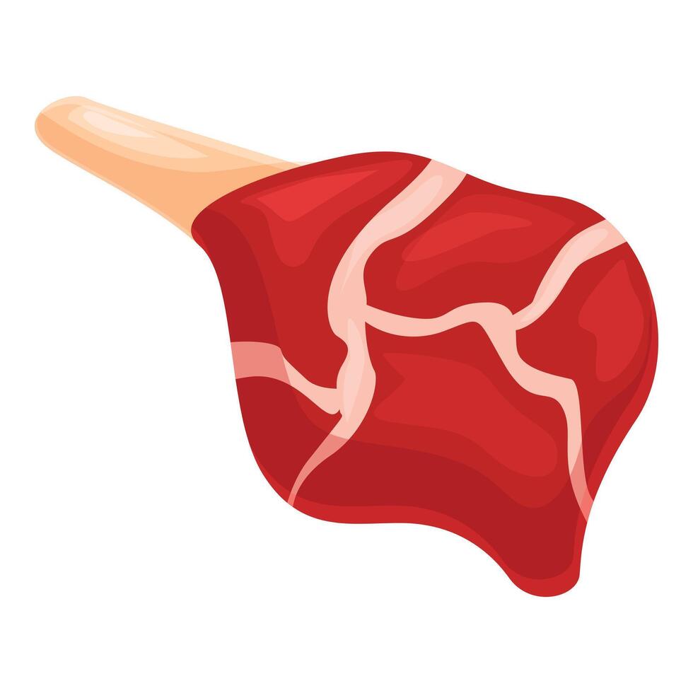 Raw red meat piece for cooking delicious dish vector